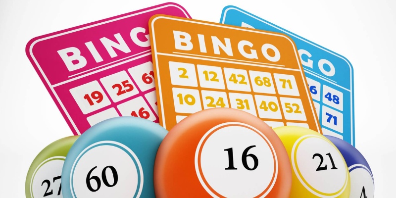 Reasons to choose Lottery bingo Slotvip for entertainment